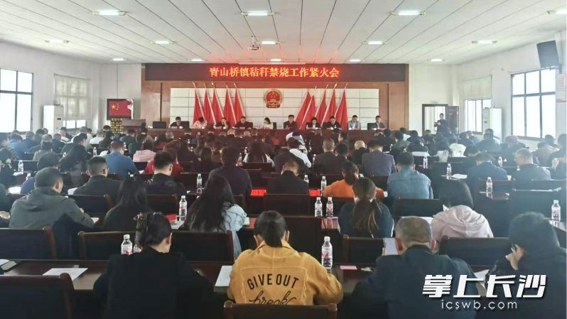 寧鄉(xiāng)市青山橋鎮(zhèn)開展秸稈禁燒工作緊火會(huì)，一級一級壓實(shí)工作責(zé)任,。受訪方供圖