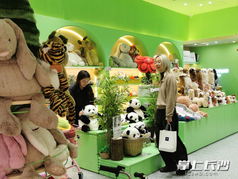 某毛絨玩具店,，逼真的玩偶讓人仿若置身于動(dòng)物園,，引來(lái)年輕人拍照打卡。