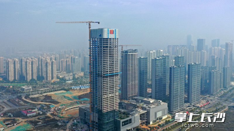 今日上午,，梅溪湖二期最高樓——招商梅溪湖花園城,，順利完成主體結(jié)構(gòu)全面封頂。均為長沙晚報全媒體記者 王志偉 攝