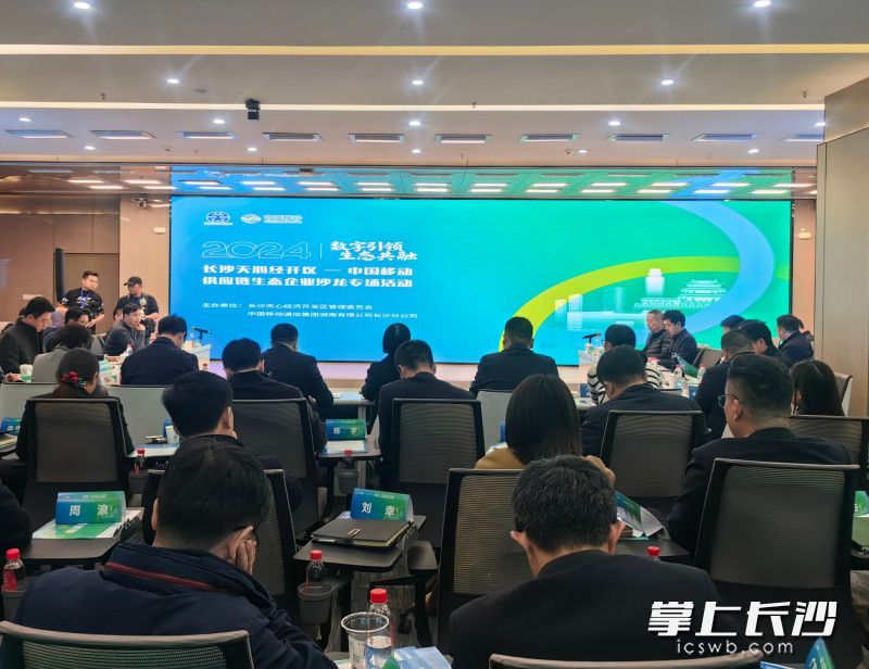 活動現(xiàn)場。 均為長沙晚報全媒體記者匡小娟攝