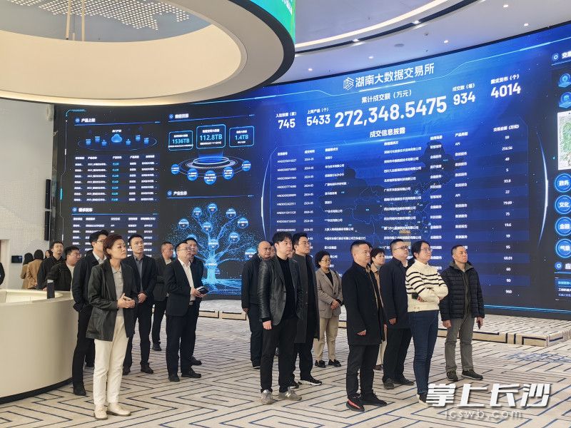 企業(yè)代表們參觀湖南大數(shù)據(jù)交易所,。
