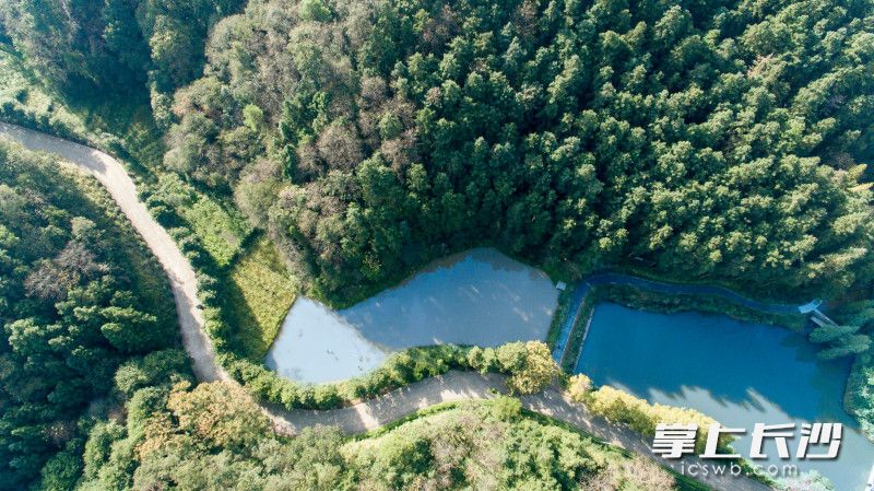 麻林溫泉處于大山?jīng)_森林公園的懷抱之中，山水相依,。