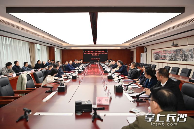會議現(xiàn)場,。 長沙晚報通訊員 張圣賀 攝