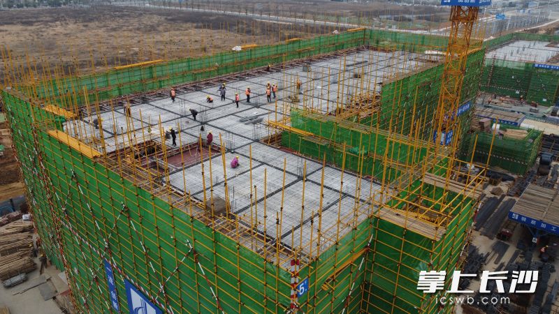 雅禮中學(xué)東校區(qū)（二期）項(xiàng)目完成地下室結(jié)構(gòu)正負(fù)零,。 長(zhǎng)沙晚報(bào)通訊員 李揚(yáng)帆 供圖