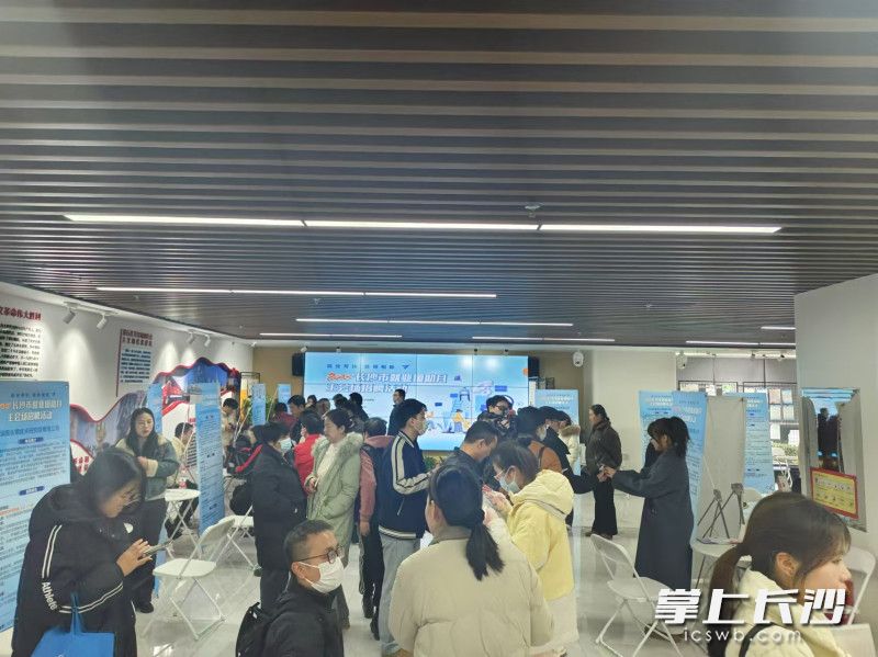 求職者物色自己心儀的崗位,。均為通訊員 周宇 攝