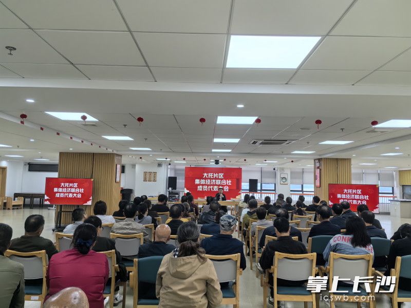 召開集體經(jīng)濟(jì)組織成員代表大會,。
