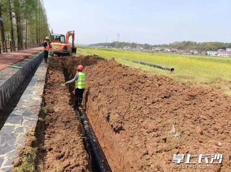 農(nóng)業(yè)用水管道取代傳統(tǒng)灌溉溝渠,，既高效又節(jié)省,。長(zhǎng)沙晚報(bào)通訊員 廖國(guó)君 供圖