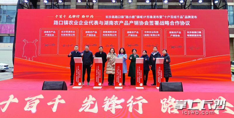 鎮(zhèn)域IP“路小鹿”正式亮相,，串起文旅、產(chǎn)業(yè)資源,。長沙晚報全媒體記者 王斌 攝