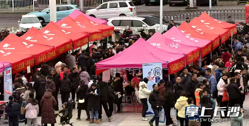 連日來,，寧鄉(xiāng)搶抓招聘就業(yè)黃金期時段,，將“職通車”開進市民“家門口”。 通訊員供圖