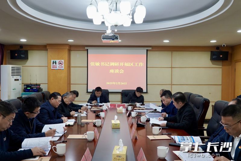 調研座談會現(xiàn)場,。 長沙晚報通訊員 袁帥 攝