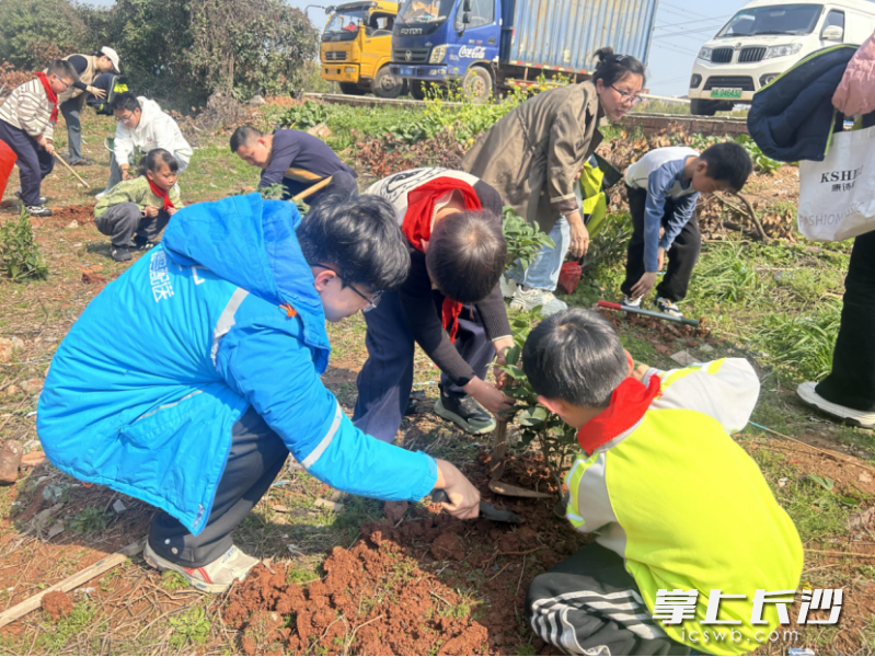植樹(shù)現(xiàn)場(chǎng),。長(zhǎng)沙晚報(bào)通訊員 彭靜 供圖