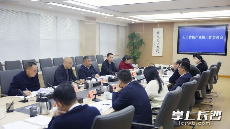 會(huì)議現(xiàn)場(chǎng),。 長(zhǎng)沙晚報(bào)全媒體記者 盛磊 攝