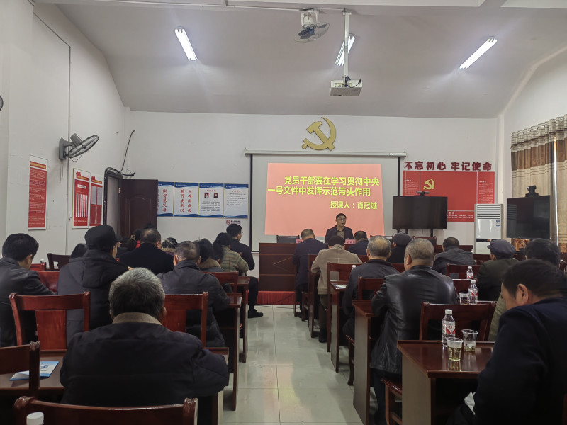 近日,，在寧鄉(xiāng)市灰湯鎮(zhèn)花果山村，一場黨員大會在這里舉行,。均為受訪者供圖