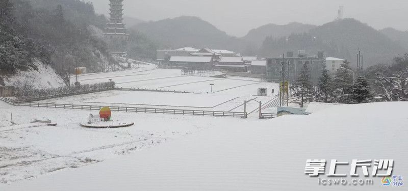 3月7日,，大圍山雪景,。均為受訪者供圖
