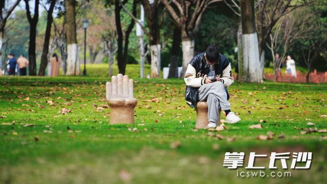 不少市民走出家門來到戶外,，欣賞春日美景,，感受春意盎然。  均為長沙晚報(bào)全媒體記者舒元臻攝