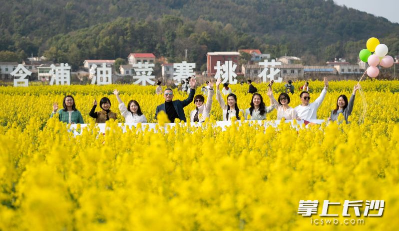含浦的萬(wàn)畝油菜花吸引了眾多游客打卡,。 長(zhǎng)沙晚報(bào)全媒體記者 鄒麟 攝