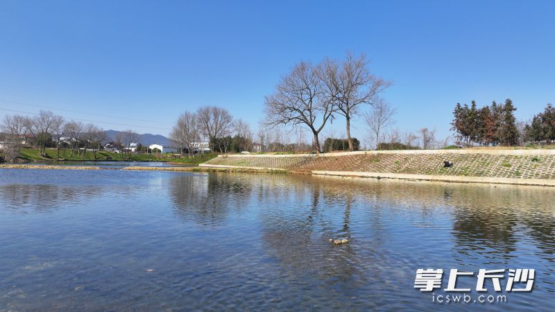南川河大瑤段,，河水清澈見底,，相關(guān)治理工程已基本完工。長沙晚報(bào)通訊員 黃彪 攝