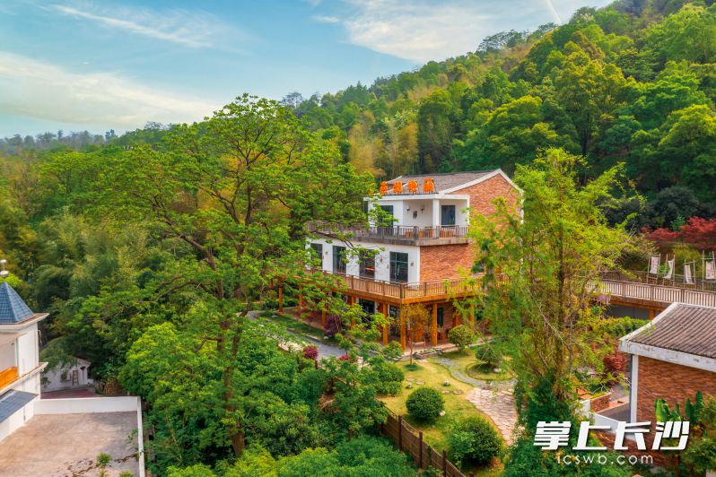 始建于上世紀80年代無人問津的“空心房”,，經(jīng)改造后，成為集生態(tài)康養(yǎng),、親子研學,、團建度假于一體的“田園烏托邦”。 均為全媒體記者 陳飛 攝