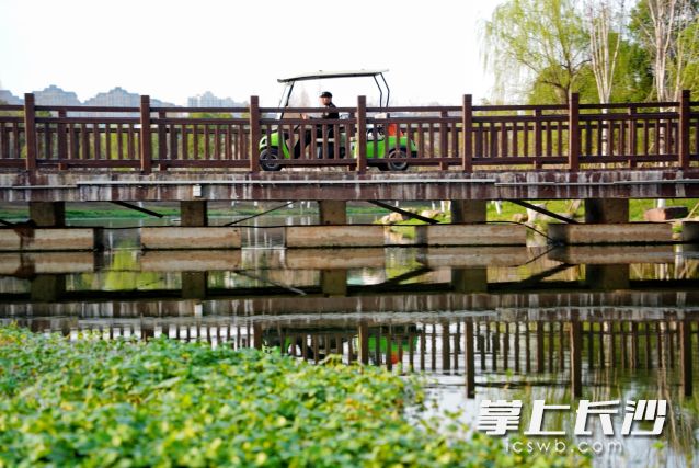 隨著雷雨大風(fēng)天氣的退去,，市民朋友將在陽(yáng)光中迎來(lái)新的工作周。 長(zhǎng)沙晚報(bào)全媒體記者 舒元臻 攝