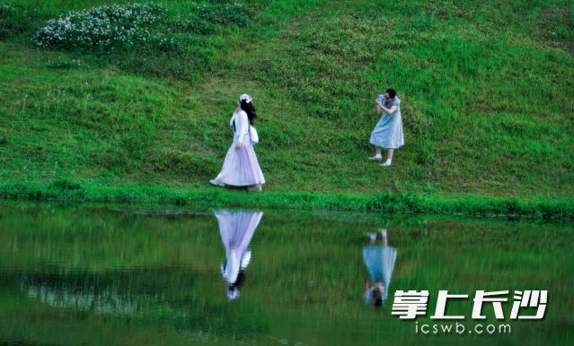 谷雨時(shí)節(jié),，春的謝幕夏的序曲，萬(wàn)物蓬勃生長(zhǎng),。