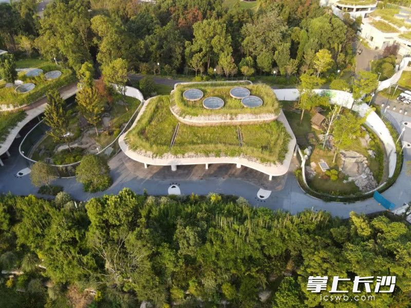 中華大熊貓苑