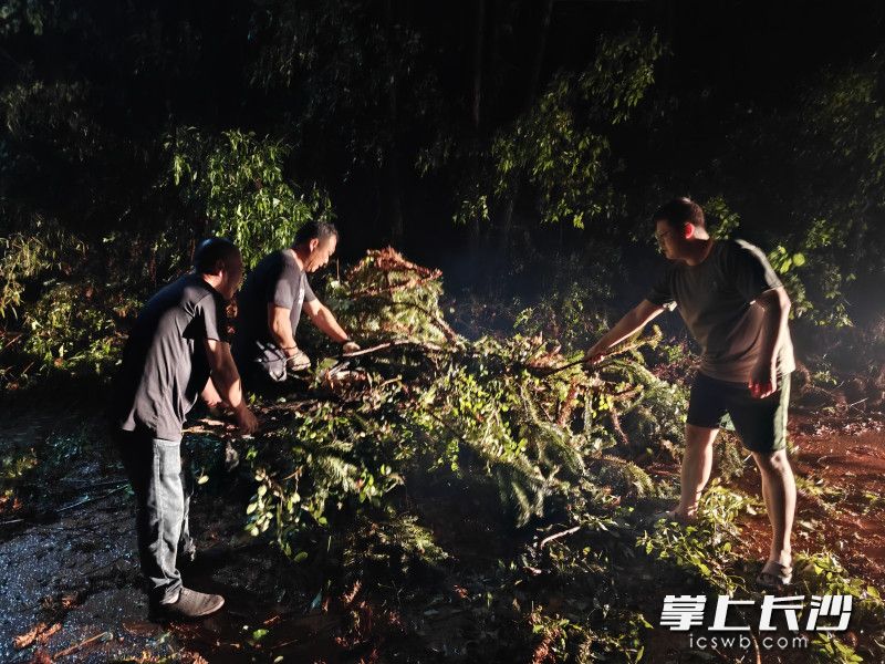 不少樹木枝條倒伏在道路中,，鎮(zhèn)村干部第一時(shí)間趕往現(xiàn)場(chǎng)清理。