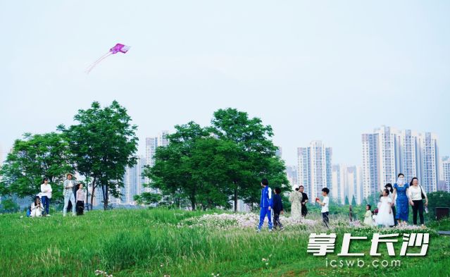 經(jīng)歷一輪強(qiáng)降水“洗刷”,，長(zhǎng)沙空氣分外清新,。 均為長(zhǎng)沙晚報(bào)全媒體記者舒元臻攝