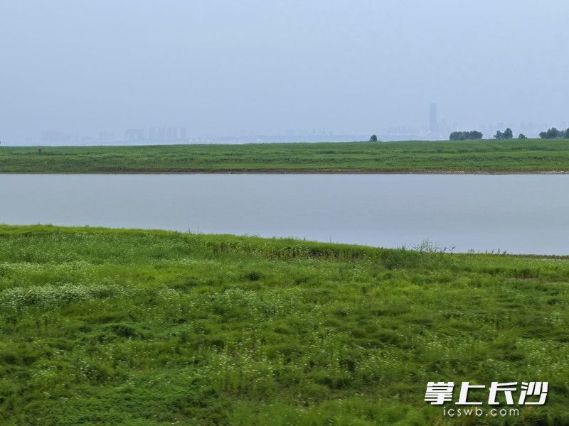 君山島上水碧草綠。