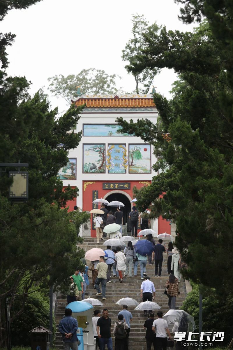 記者一行走進(jìn)岳陽君山島,。