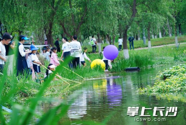 市民出行短袖上陣，夏日感十足,。
