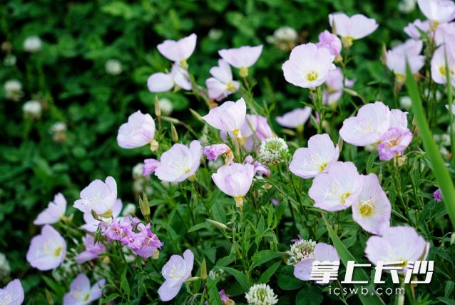 “回南天”到處是濕漉漉的。