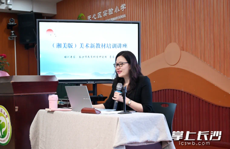 長沙市教科院美術(shù)教研員詹蓉老師進(jìn)行講座,。