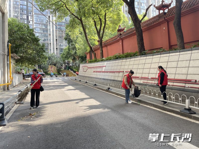 身披紅色志愿馬甲的黨員們手持夾鉗和掃把,，化身“環(huán)境衛(wèi)士”。
