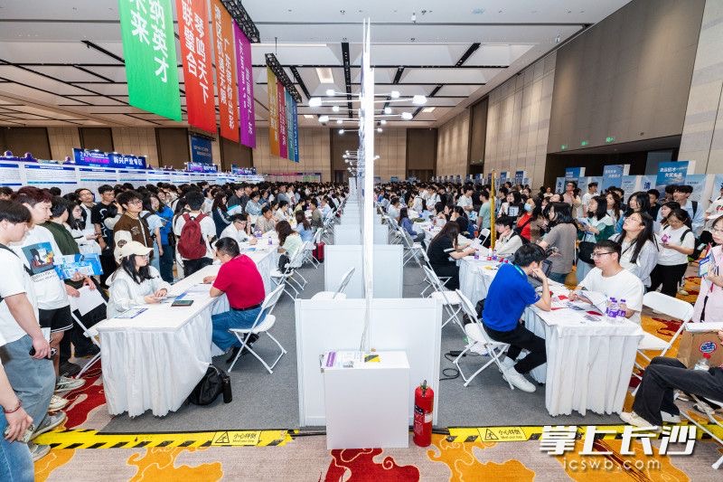 線上還提供超20萬個(gè)優(yōu)質(zhì)崗位。均為長沙晚報(bào)全媒體記者 董陽 攝