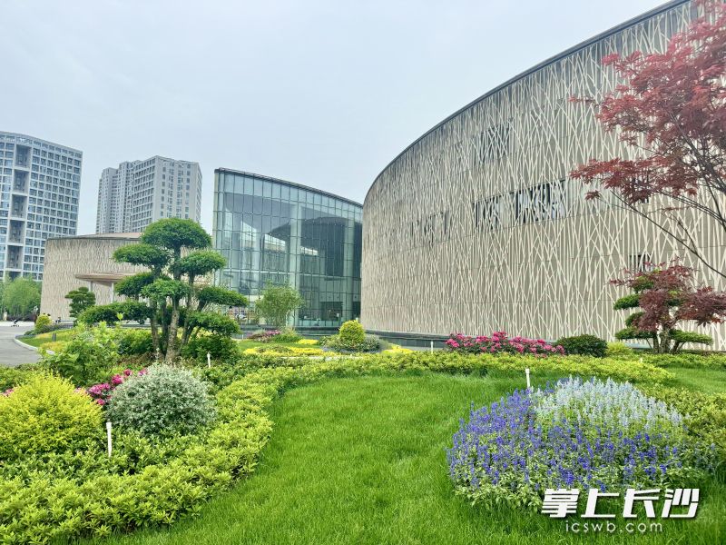 隆平水稻博物館前坪，藏在稻田邊的春日詩行,。