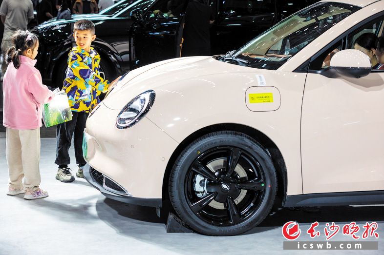 時(shí)尚的汽車造型讓孩子們好奇不已,，圖為2024湖南車展現(xiàn)場(chǎng)。董陽(yáng) 攝