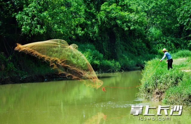 7日到8日長(zhǎng)沙有較強(qiáng)降雨過程，并伴有雷暴大風(fēng)等強(qiáng)對(duì)流天氣。 長(zhǎng)沙晚報(bào)全媒體記者 舒元臻攝