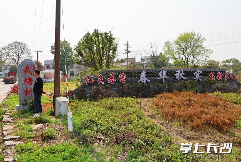 春華鎮(zhèn)武塘村村牌。 均為長沙晚報通訊員柳崢攝