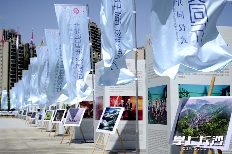 活動現(xiàn)場,。 均為主辦方供圖