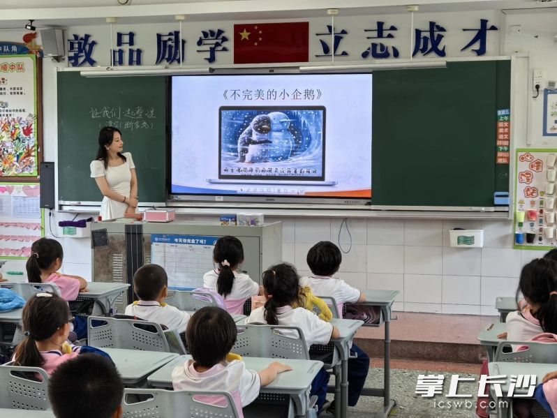 看《不完美的小企鵝》動畫短片,。