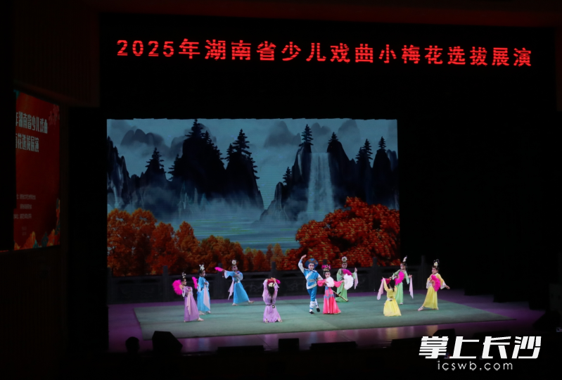 5月9日,，2025年湖南省少兒戲曲小梅花暨第29屆中國少兒戲曲小梅花薈萃湖南賽區(qū)選拔展演在湖南藝術(shù)職業(yè)學(xué)院拉開帷幕,。