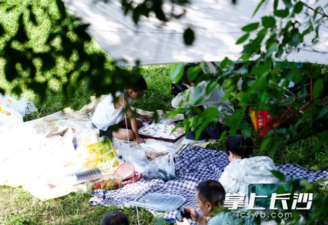 清新明快的初夏時(shí)節(jié)是進(jìn)行戶外活動(dòng)的好時(shí)機(jī),。均為長(zhǎng)沙晚報(bào)全媒體記者 舒元臻 攝