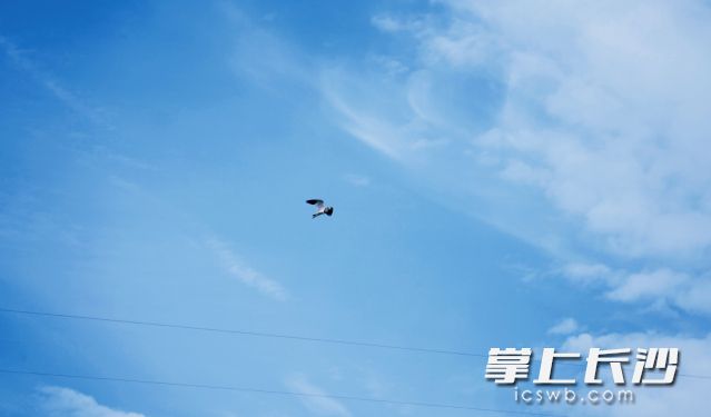12日到14日白天無(wú)明顯降水,。