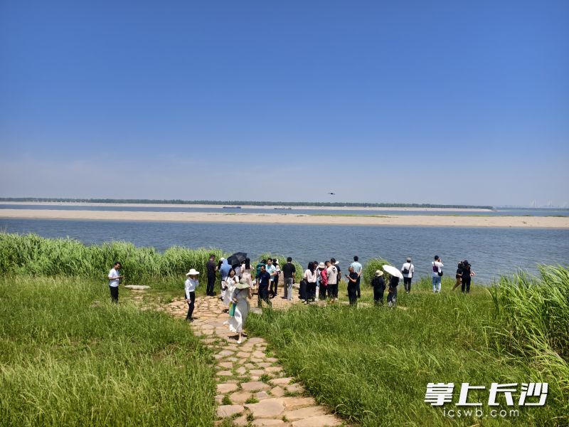 采風團參觀江豚灣。均為長沙晚報全媒體記者 寧莎鷗 攝