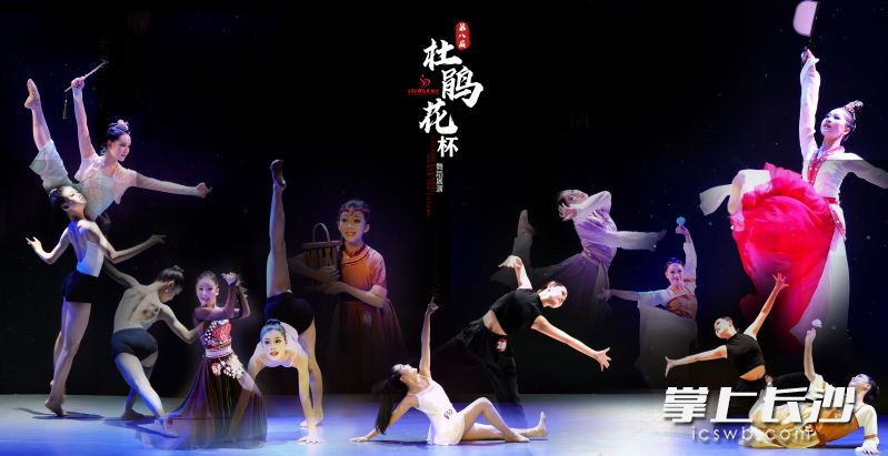 “舞韻瀏陽河”瀏陽市舞蹈家協(xié)會(huì)第八屆“杜鵑花杯”舞蹈展演舉辦,。