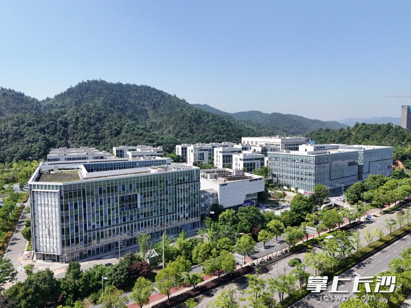 新區(qū)藥品審評(píng)核查中心在長沙健康醫(yī)療大數(shù)據(jù)產(chǎn)業(yè)園揭牌,。 通訊員供圖