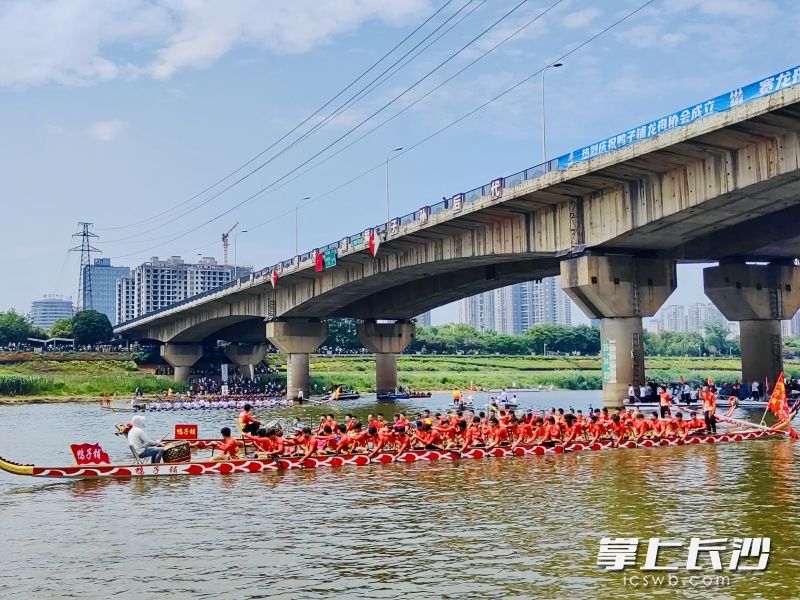 端午節(jié)未至,，龍舟傳統(tǒng)文化先“躁”起來,。 長沙晚報全媒體記者 李卓 攝
