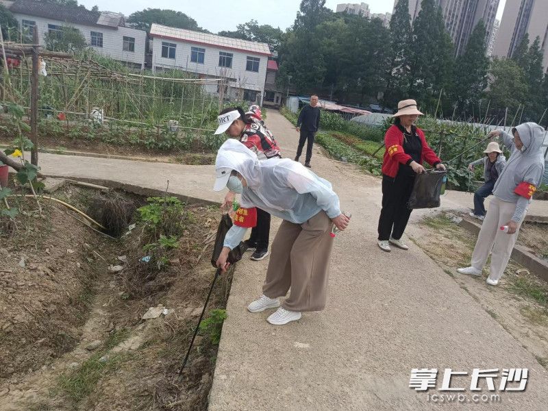志愿服務(wù),。