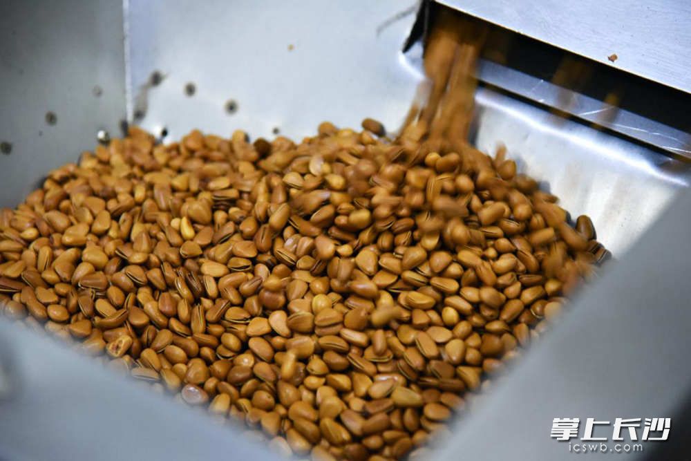 粉塔、濾網(wǎng)篩選原料分級,、打磨去皮,、高溫油炸、脫油,、再次篩選,、分裝，這是一套完整的生產(chǎn)流程,。