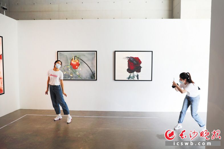 謝子龍影像藝術(shù)館新展開展,，吸引了許多文藝青年前來觀摩學習,。藝術(shù)館供圖